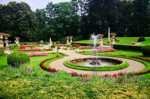 servizi di giardinaggio alessandria
